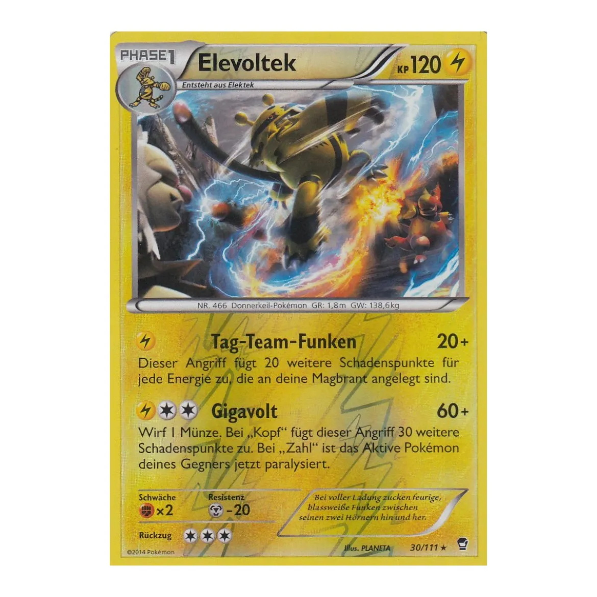 Elevoltek 030/111 REVERSE HOLO