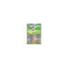 Enekoro 105/146 REVERSE HOLO