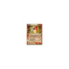 Entei ex HOLO