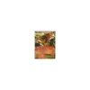 Entei-EX 013/108 HOLO