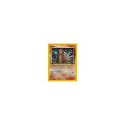 Entei 06/64 Holo