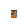 Entei 15/98 HOLO