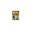Entei & Raikou LEGENDE (oben) HOLO
