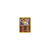 Entei REVERSE HOLO