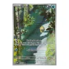 Enton 175/165 Illustration Rare