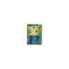 Enton REVERSE HOLO