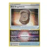 Erd-Siegelstein 154/195 HOLO