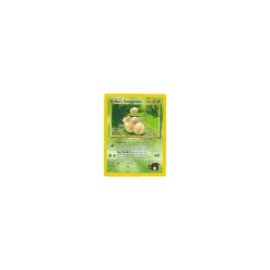 Erika's Exeggcute 043/132