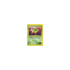 Erika's Victreebel 026/132