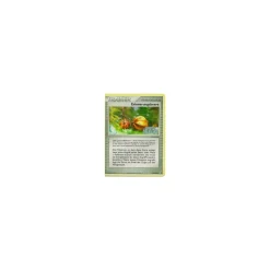 Erinnerungsbeere REVERSE HOLO