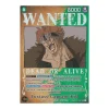 Eustass''Captain''Kid WANTED