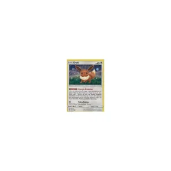 Evoli 101/149 HOLO