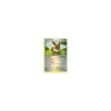 Evoli 63/98 REVERSE HOLO