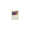 Expertengurt 87/99