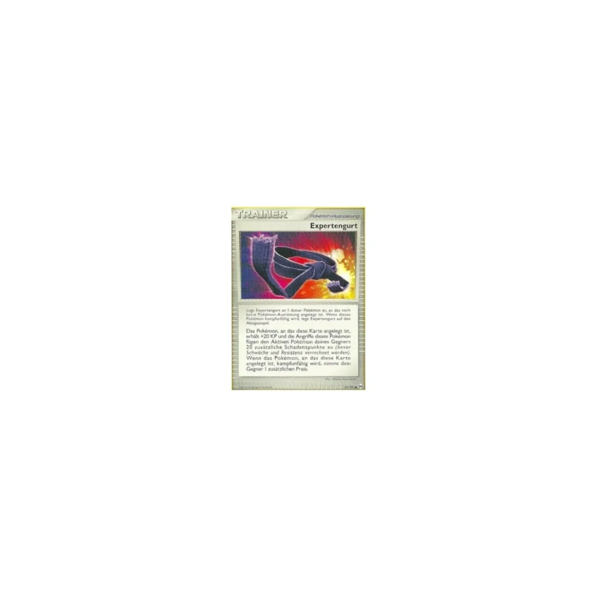 Expertengurt 87/99