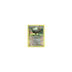 Fasasnob REVERSE HOLO