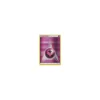 Feen-Basis-Energie 83/83 REVERSE HOLO