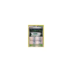 Feenbeet 100/124 REVERSE HOLO