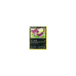 Felilou REVERSE HOLO