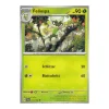 Feliospa 014/198