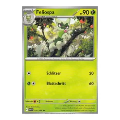 Feliospa 014/198