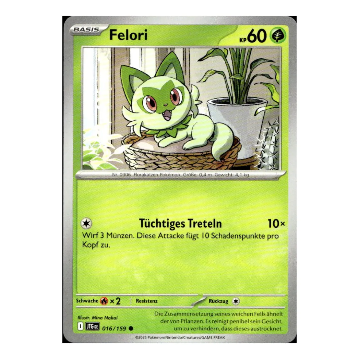 Felori 016/159