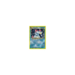 Feraligatr 4/111 HOLO BESPIELT