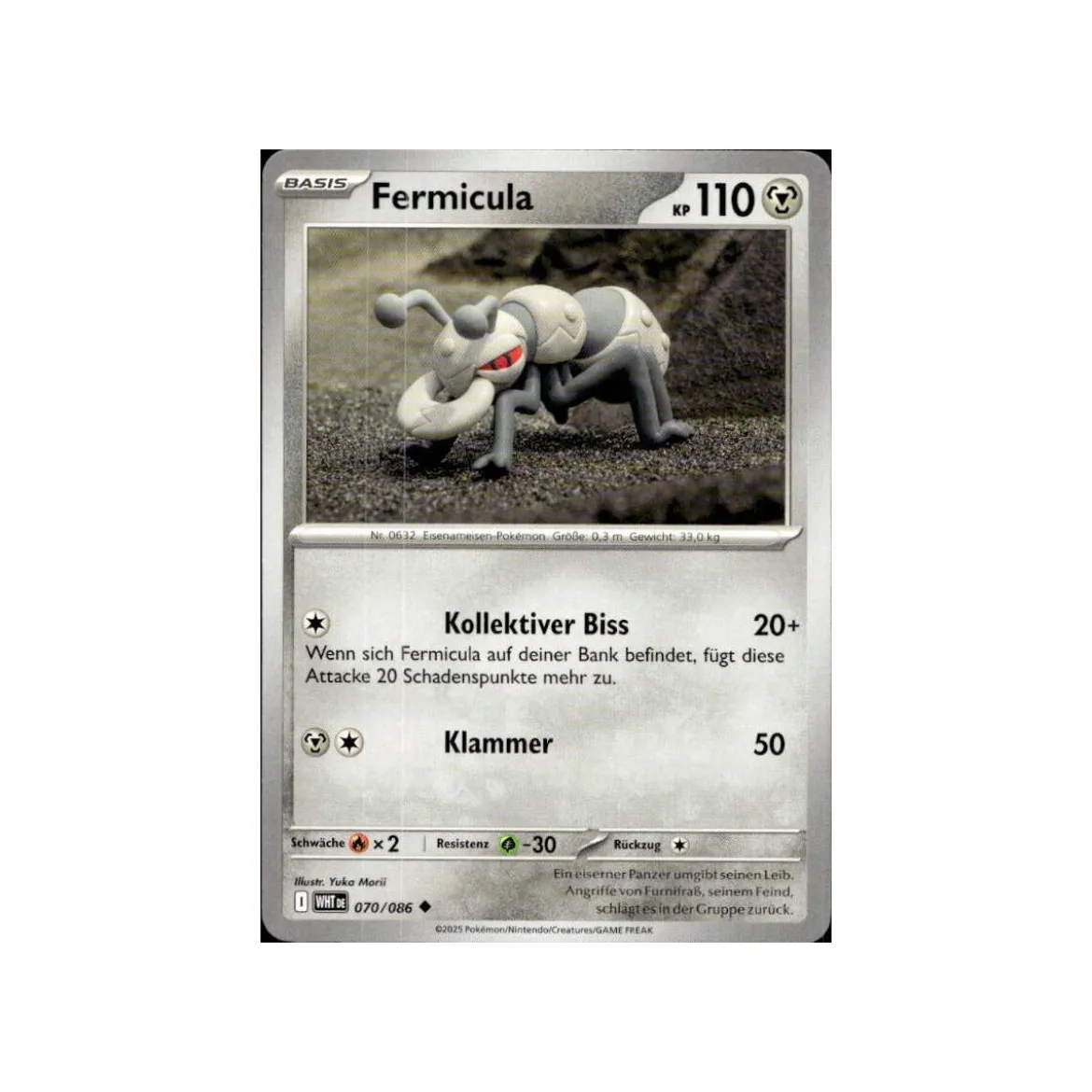 Fermicula 070/086