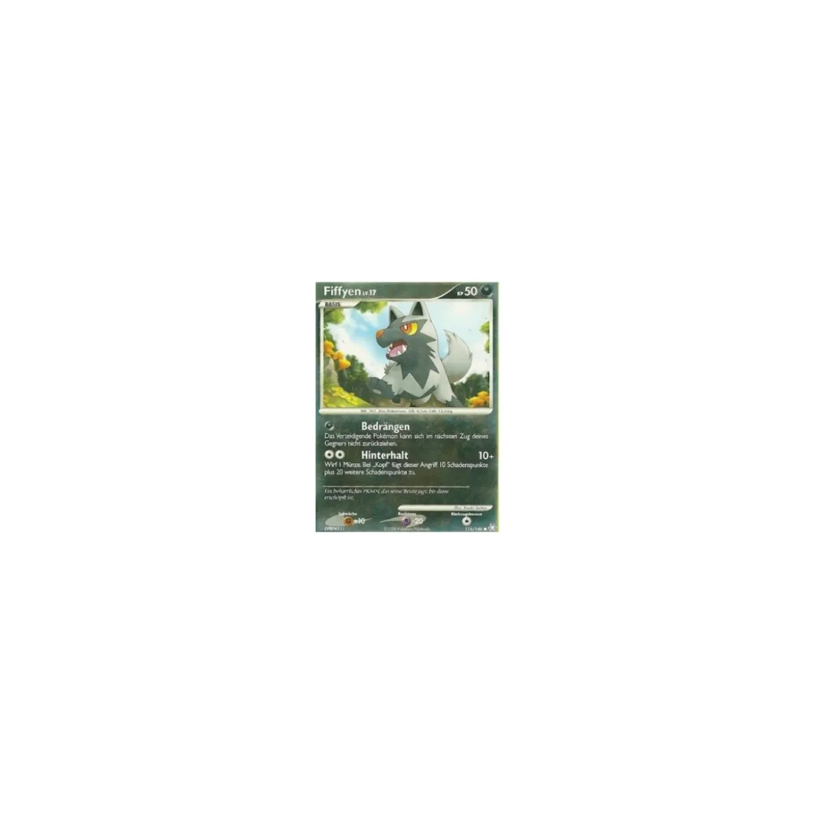 Fiffyen Lv.17 116/146