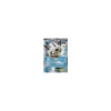 Firnontor-EX 034/162 HOLO