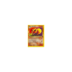 Flamara 19/64