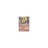 Flamara ex HOLO