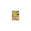 Flamara GOLDSTAR SHINY HOLO *bespielt*