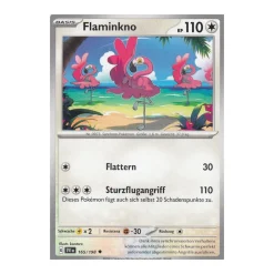 Flaminkno 165/198