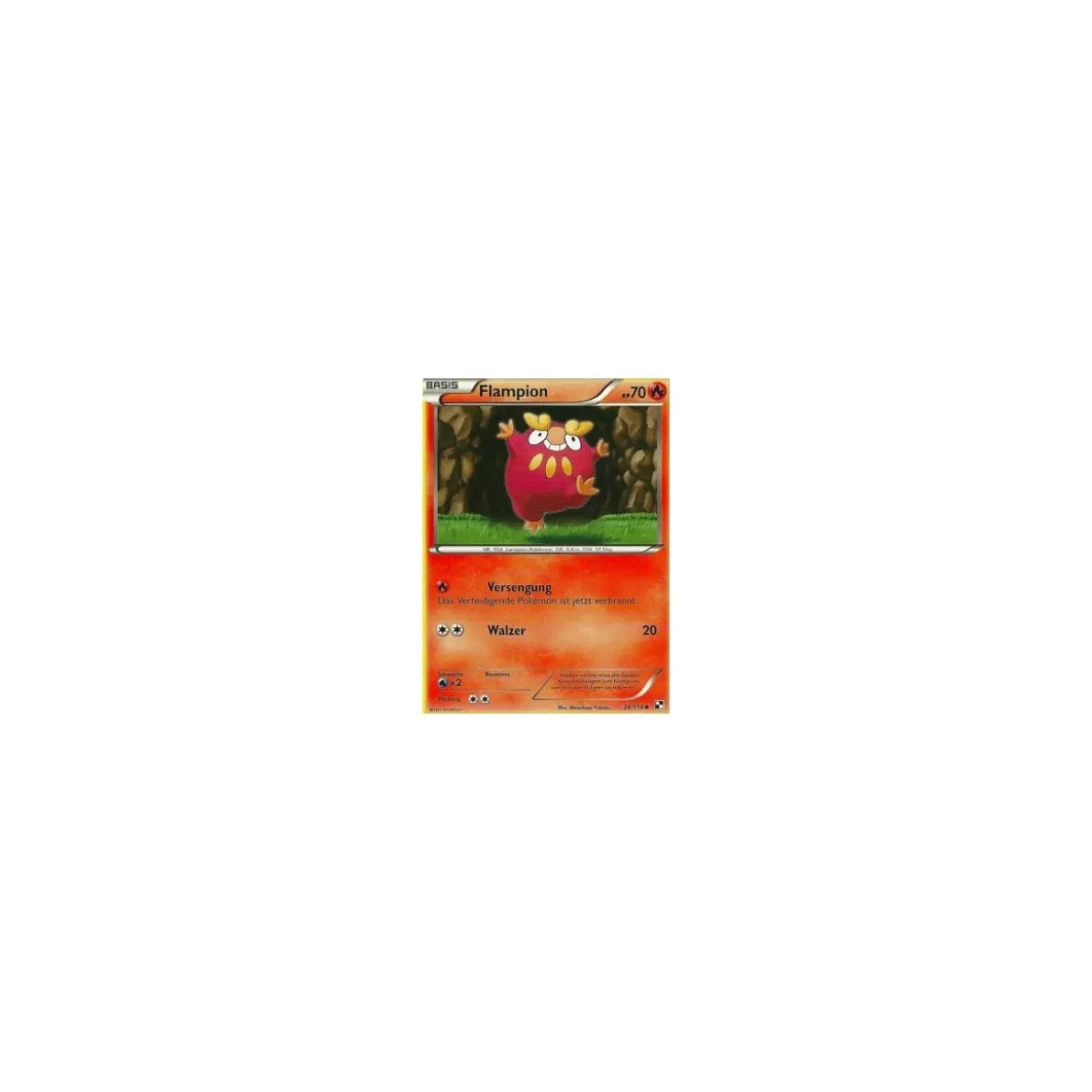 Flampion 24/114