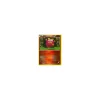 Flampion 24/114 REVERSE HOLO