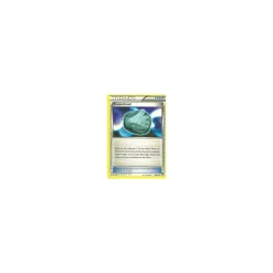 Flossenfossil 098/111