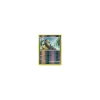 Flunkifer REVERSE HOLO
