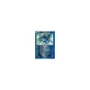 Frigometri 030/116 REVERSE HOLO