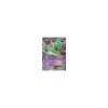 Galagladi-EX 034/108 HOLO