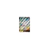 Galar-Gorgasonn-V 71/073 FULLART