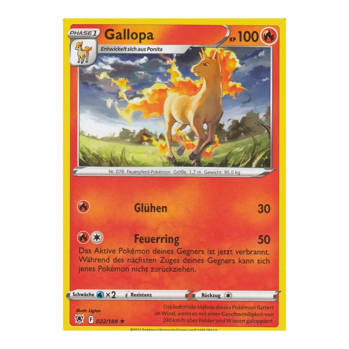 Gallopa 022/189