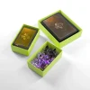 Gamegenic - Token Silo Card Add-On Lime - Aufbewahrungs-Box