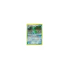 Gastrodon Östliches Meer HOLO