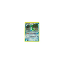 Gastrodon Östliches Meer HOLO