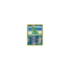 Gastrodon östliches Meer REVERSE HOLO