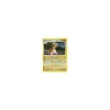 Gastrodon Westliches Meer HOLO