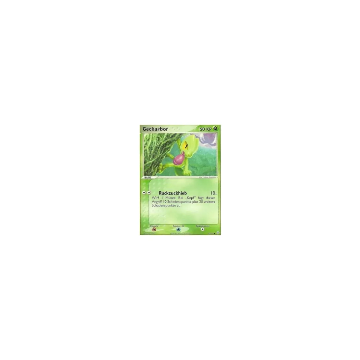 Geckarbor