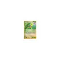 Geckarbor REVERSE HOLO