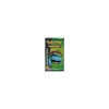 Generations Booster - englisch *SELTEN*